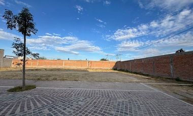 TERRENO EN VENTA EN PASEOS DE LORETTA