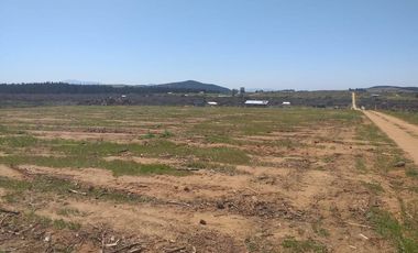Parcela en sector de  Caliboro San Javier