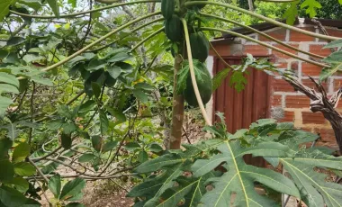 Casa Campestre En venta en  Ruitoque Alto
