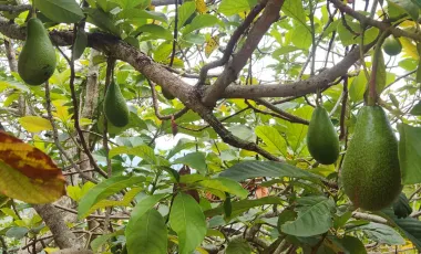 Casa Campestre En venta en  Ruitoque Alto