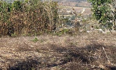 RANCHO EN OCOZOCOAUTLA
