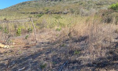 RANCHO EN OCOZOCOAUTLA