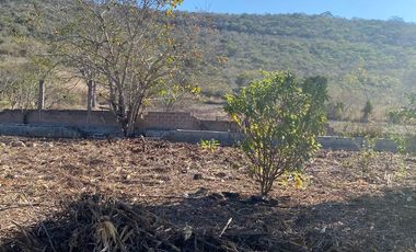 RANCHO EN OCOZOCOAUTLA