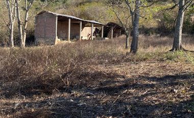 RANCHO EN OCOZOCOAUTLA