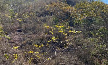 RANCHO EN OCOZOCOAUTLA