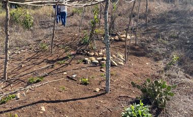 RANCHO EN OCOZOCOAUTLA