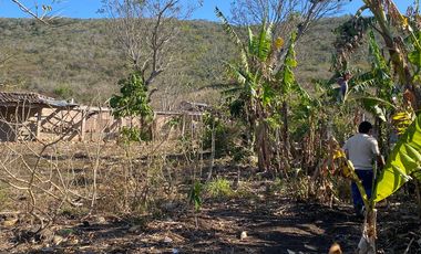 RANCHO EN OCOZOCOAUTLA