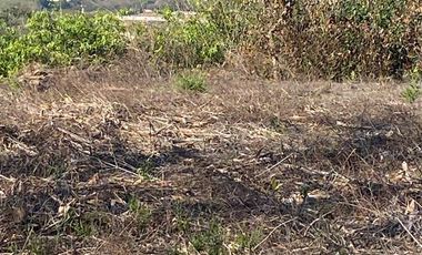 RANCHO EN OCOZOCOAUTLA