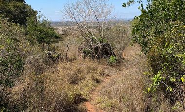 RANCHO EN OCOZOCOAUTLA