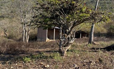 RANCHO EN OCOZOCOAUTLA