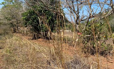 RANCHO EN OCOZOCOAUTLA