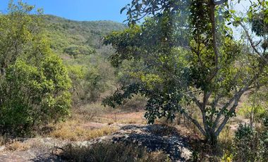 RANCHO EN OCOZOCOAUTLA