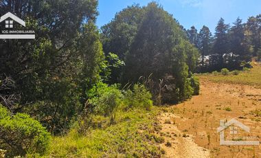 TERRENO LA LADRILLERA, UBICADO EN CAPULA, MINERAL DEL CHICO 62,000 m2
