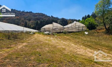 TERRENO LA LADRILLERA, UBICADO EN CAPULA, MINERAL DEL CHICO 62,000 m2