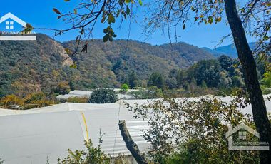 TERRENO LA LADRILLERA, UBICADO EN CAPULA, MINERAL DEL CHICO 62,000 m2