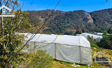 TERRENO LA LADRILLERA, UBICADO EN CAPULA, MINERAL DEL CHICO 62,000 m2