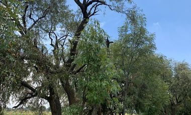 Lotes residenciales en venta frente a Valquirico, Nativitas, Tlaxcala