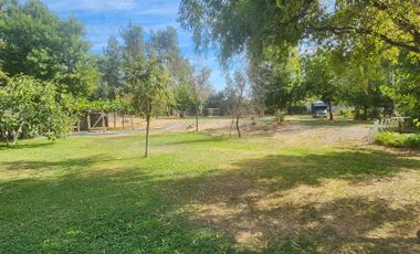Venta parcela con Casas y plantación de arandanos