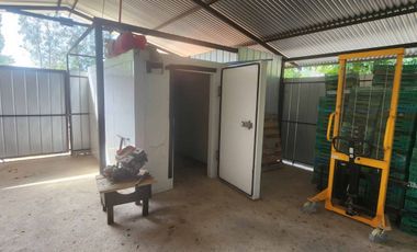 Venta parcela con Casas y plantación de arandanos