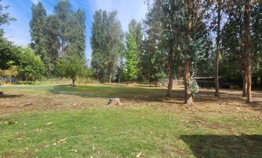 Venta parcela con Casas y plantación de arandanos