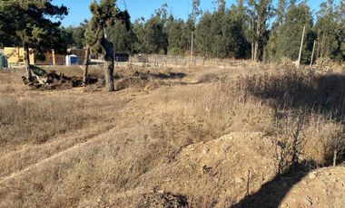 SE VENDE PARCELA PLANA DE 10 MIL M2, MALVILLA, SAN ANTONIO