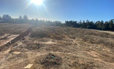 SE VENDE PARCELA PLANA DE 10 MIL M2, MALVILLA, SAN ANTONIO