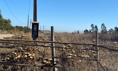 SE VENDE PARCELA PLANA DE 10 MIL M2, MALVILLA, SAN ANTONIO