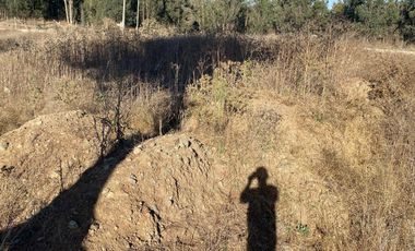 SE VENDE PARCELA PLANA DE 10 MIL M2, MALVILLA, SAN ANTONIO