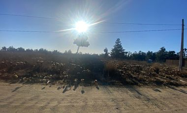 SE VENDE PARCELA PLANA DE 10 MIL M2, MALVILLA, SAN ANTONIO