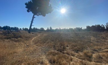 SE VENDE PARCELA PLANA DE 10 MIL M2, MALVILLA, SAN ANTONIO