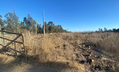 SE VENDE PARCELA PLANA DE 10 MIL M2, MALVILLA, SAN ANTONIO