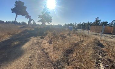 SE VENDE PARCELA PLANA DE 10 MIL M2, MALVILLA, SAN ANTONIO