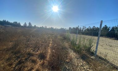 SE VENDE PARCELA PLANA DE 10 MIL M2, MALVILLA, SAN ANTONIO