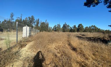 SE VENDE PARCELA PLANA DE 10 MIL M2, MALVILLA, SAN ANTONIO