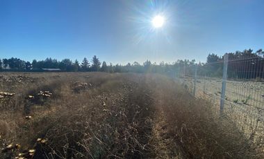 SE VENDE PARCELA PLANA DE 10 MIL M2, MALVILLA, SAN ANTONIO