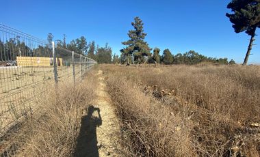 SE VENDE PARCELA PLANA DE 10 MIL M2, MALVILLA, SAN ANTONIO