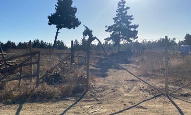 SE VENDE PARCELA PLANA DE 10 MIL M2, MALVILLA, SAN ANTONIO