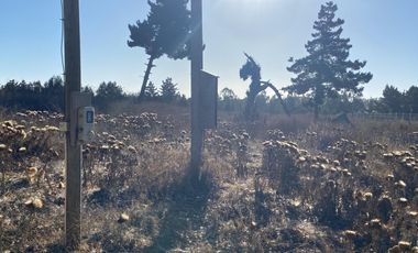 SE VENDE PARCELA PLANA DE 10 MIL M2, MALVILLA, SAN ANTONIO