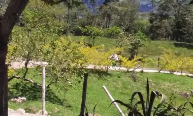 VENDO HERMOSA FINCA EN SAN CARLOS ANTIOQUIA.