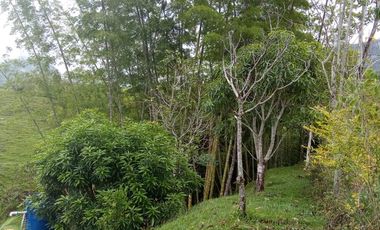 VENDO HERMOSA FINCA EN SAN CARLOS ANTIOQUIA.