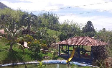 VENDO HERMOSA FINCA EN SAN CARLOS ANTIOQUIA.