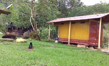 VENDO HERMOSA FINCA EN SAN CARLOS ANTIOQUIA.