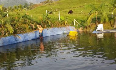 VENDO HERMOSA FINCA EN SAN CARLOS ANTIOQUIA.