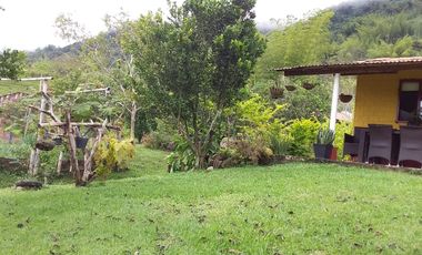 VENDO HERMOSA FINCA EN SAN CARLOS ANTIOQUIA.