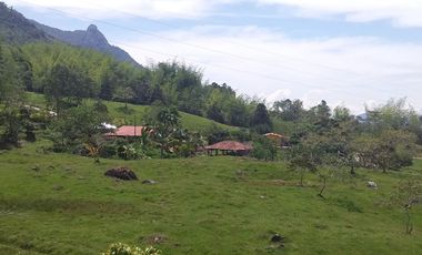 VENDO HERMOSA FINCA EN SAN CARLOS ANTIOQUIA.