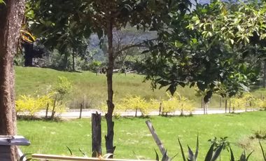 VENDO HERMOSA FINCA EN SAN CARLOS ANTIOQUIA.