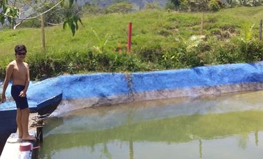 VENDO HERMOSA FINCA EN SAN CARLOS ANTIOQUIA.