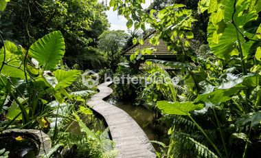 Private River Estate in Kaba-Kaba A Tropical Masterpiece