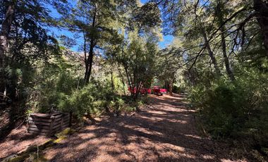 Parcela 9.700M2 con cabaña orilla de río km 62 camino Termas de Chillán