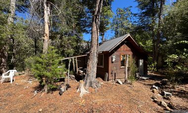 Parcela 9.700M2 con cabaña orilla de río km 62 camino Termas de Chillán